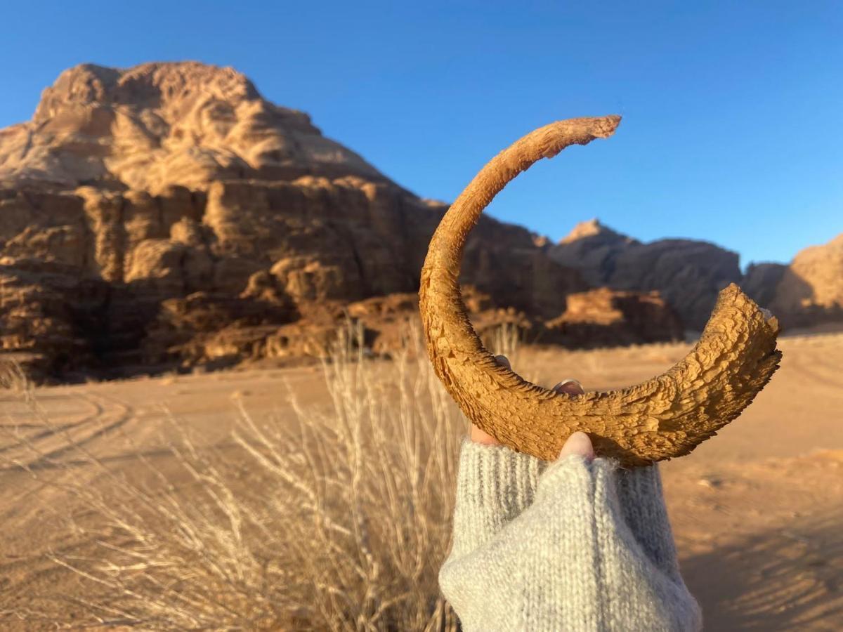 Wadi Rum Albasli Eksteriør bilde