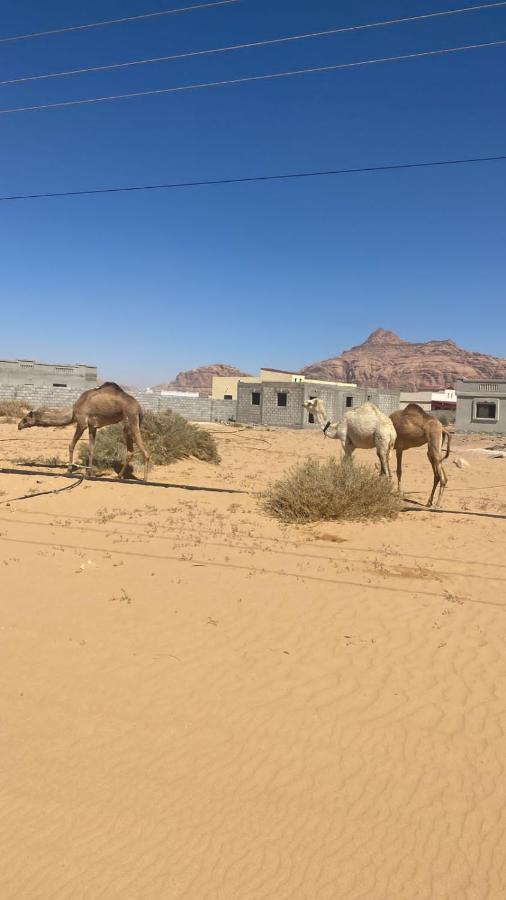 Wadi Rum Albasli Eksteriør bilde