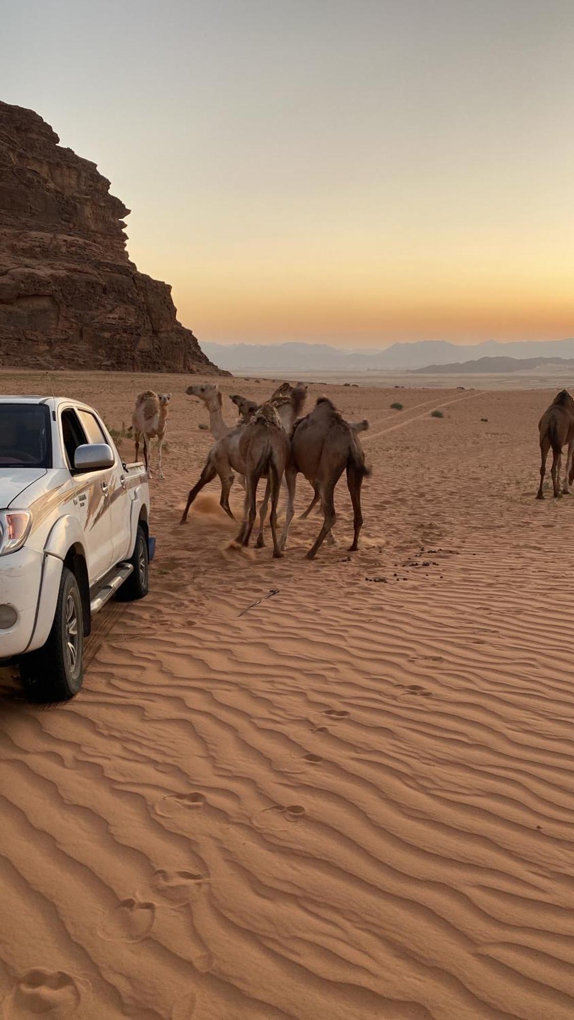 Wadi Rum Albasli Eksteriør bilde