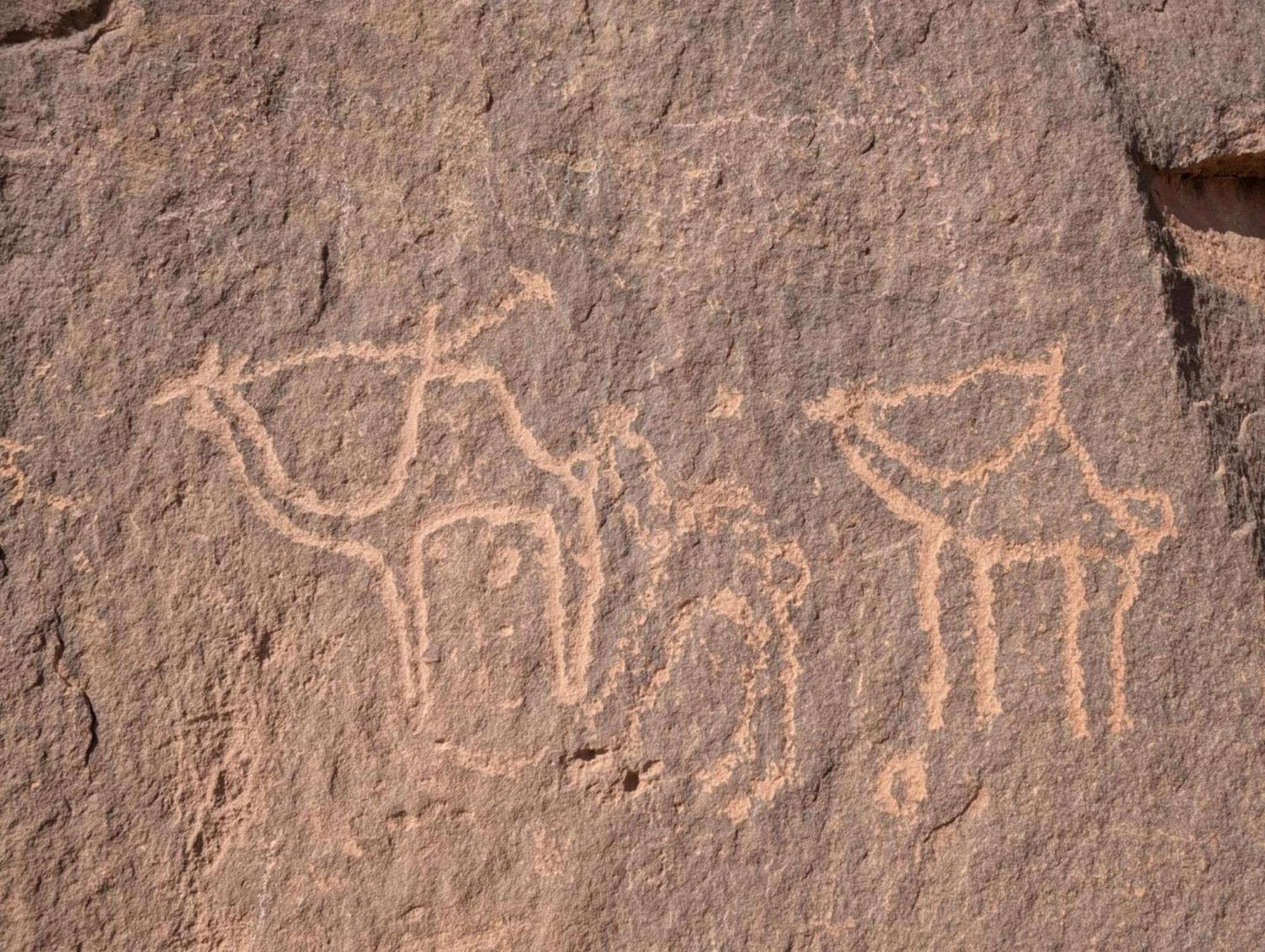 Wadi Rum Albasli Eksteriør bilde